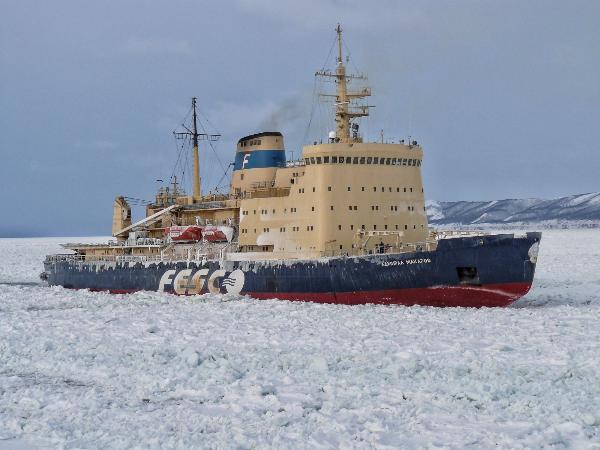 Совет директоров "Дальневосточного морского пароходства" избран в прежнем составе Совет директоров "Дальневосточного морского пароходства" избран в прежнем составе
