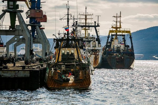 Совфед одобрил законопроект о разрешении первичной обработки улова на борту Совфед одобрил законопроект о разрешении первичной обработки улова на борту