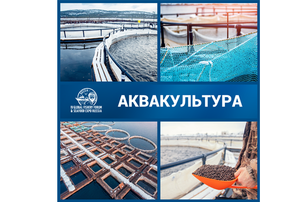 Аквакульутра стала неотъемлемой частью Global Fishery Forum & Seafood Expo Russia Аквакульутра стала неотъемлемой частью Global Fishery Forum & Seafood Expo Russia